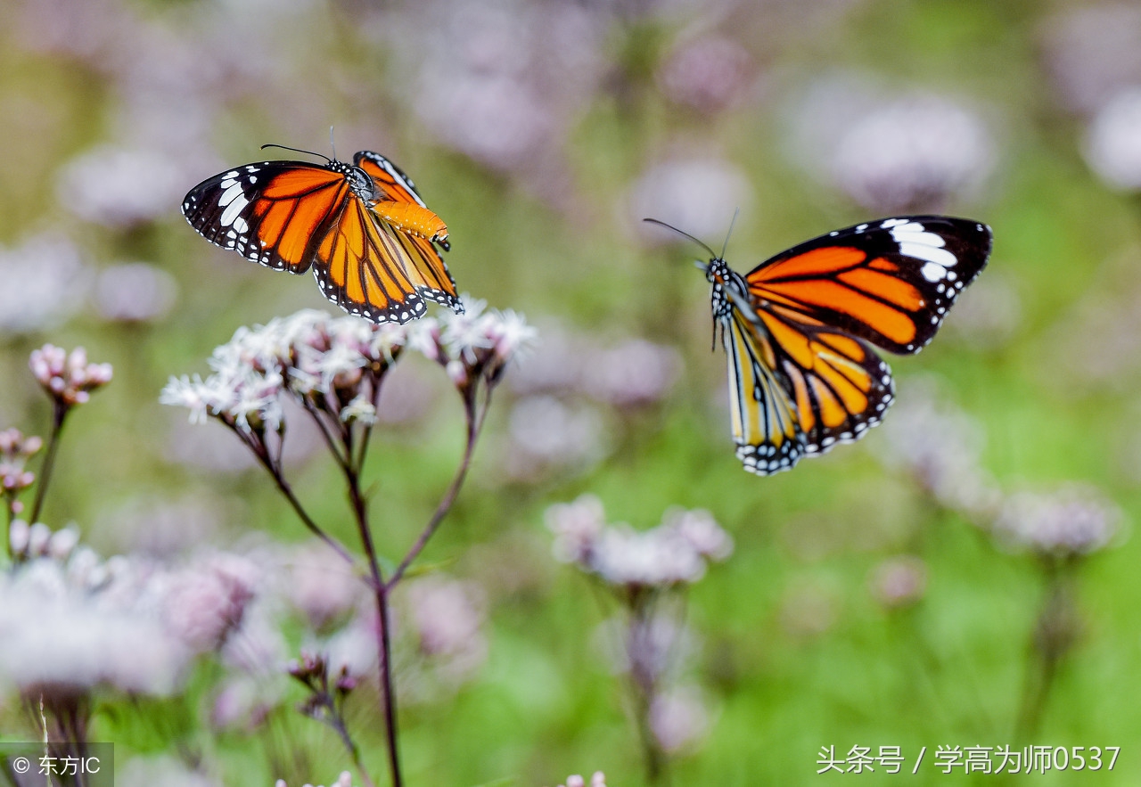 二年级语文课外阅读练习题训练暑假拓展训练
