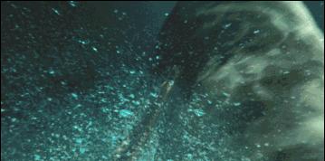 海底潜水旅行注意什么,海底潜水旅行注意事项