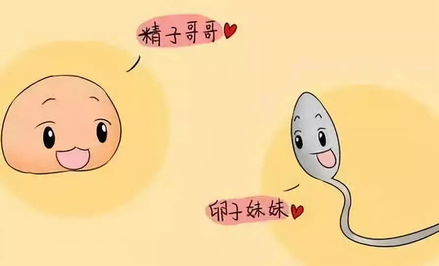 最新避孕措施有哪些方法,最新的避孕方式