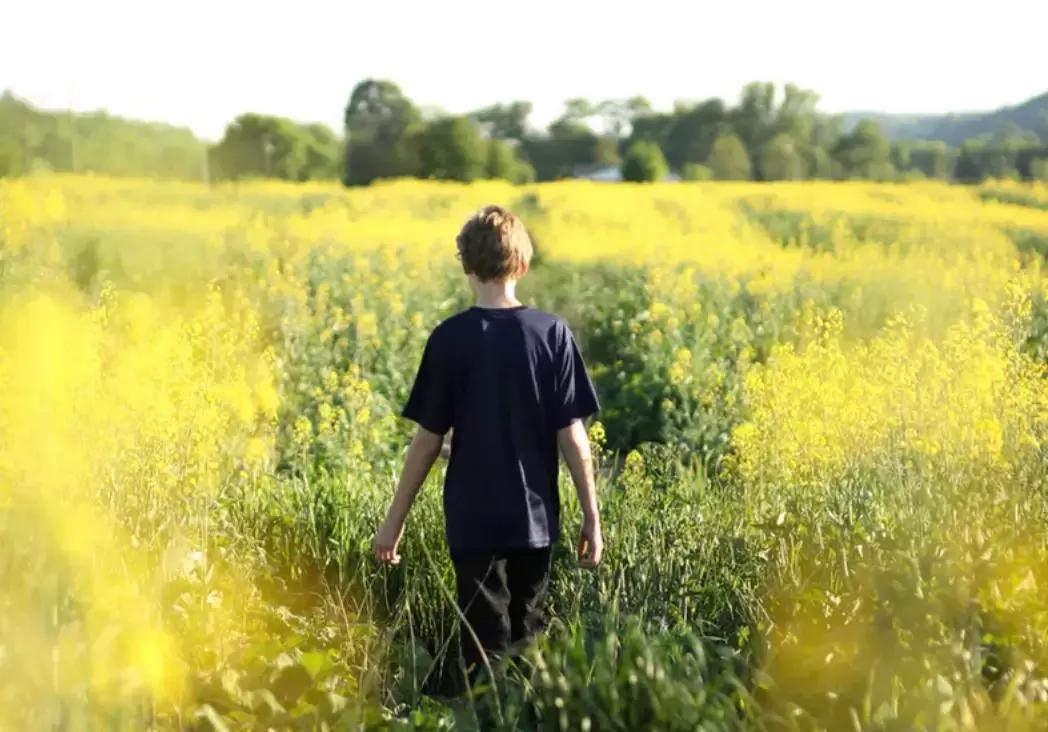 批评孩子一定要避开这7种时刻,孩子犯错不用批评只需讲这8句话