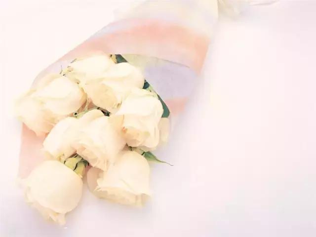 不同颜色玫瑰代表的花语,情人节送自己的玫瑰花语