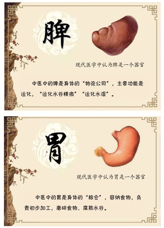 养胃养脾的健康小知识,健脾胃和调理脾胃的区别