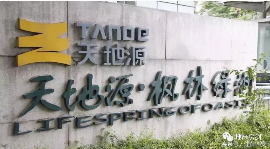 天地源的前景如何,天地源现状