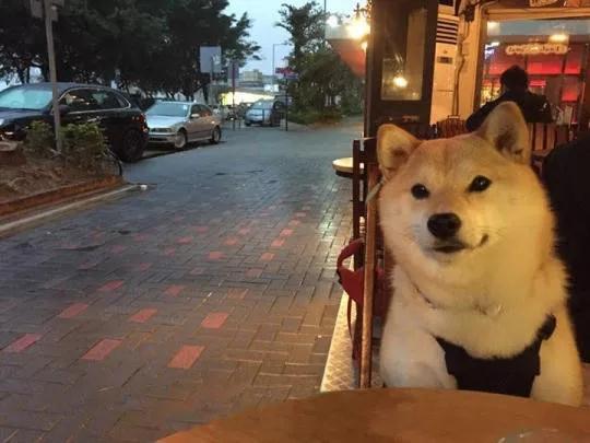 你错了，不是恋爱的酸臭味，是邻面龋在放飞！