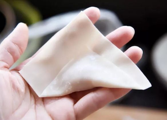 十种最漂亮的云吞包法,云吞包法视频12种包法