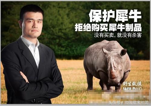 犀牛角的特征和图片,犀牛角的种类图片大全