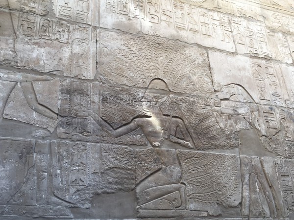 年少时的梦原文朗读,年幼时的梦