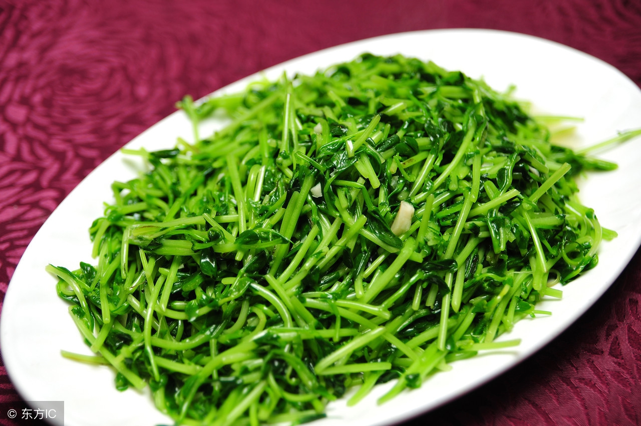 这菜营养不输西兰花，播种20天可采收，连收10次，每亩可达万元！