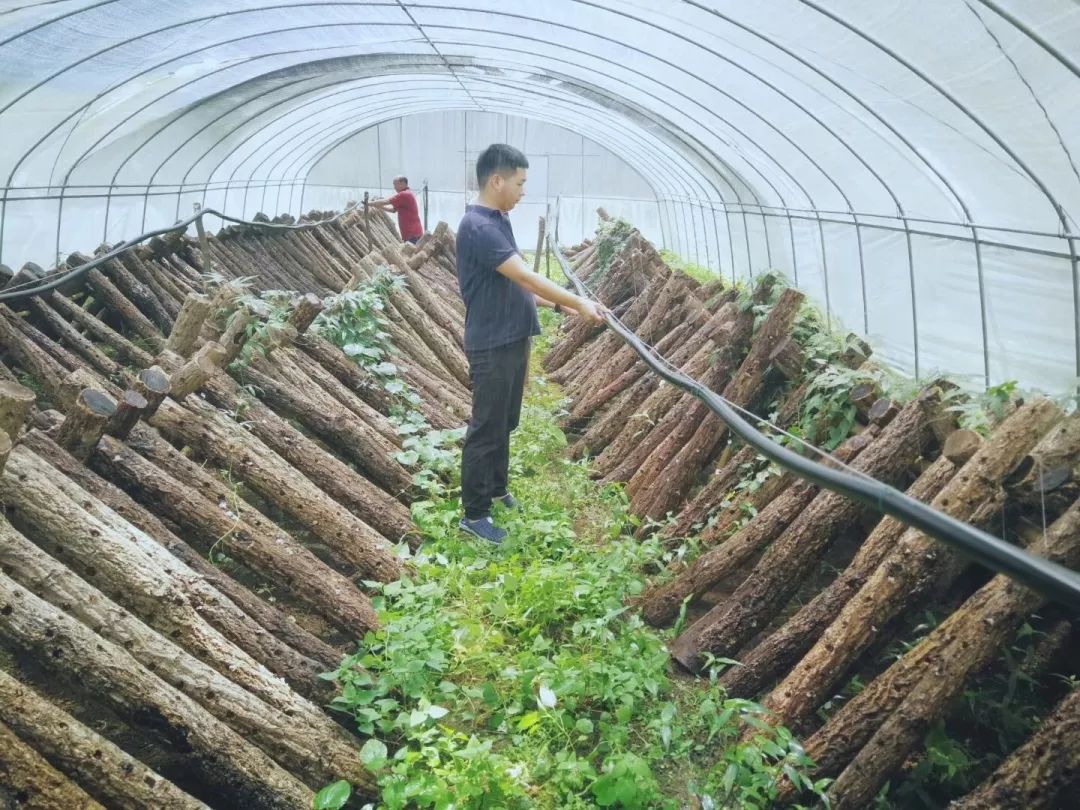 广元旺苍这家超市建成啦，以“德”换物不要钱！
