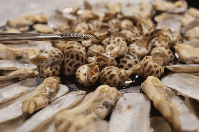 虎门新湾渔港新闻,虎门镇新湾最新消息