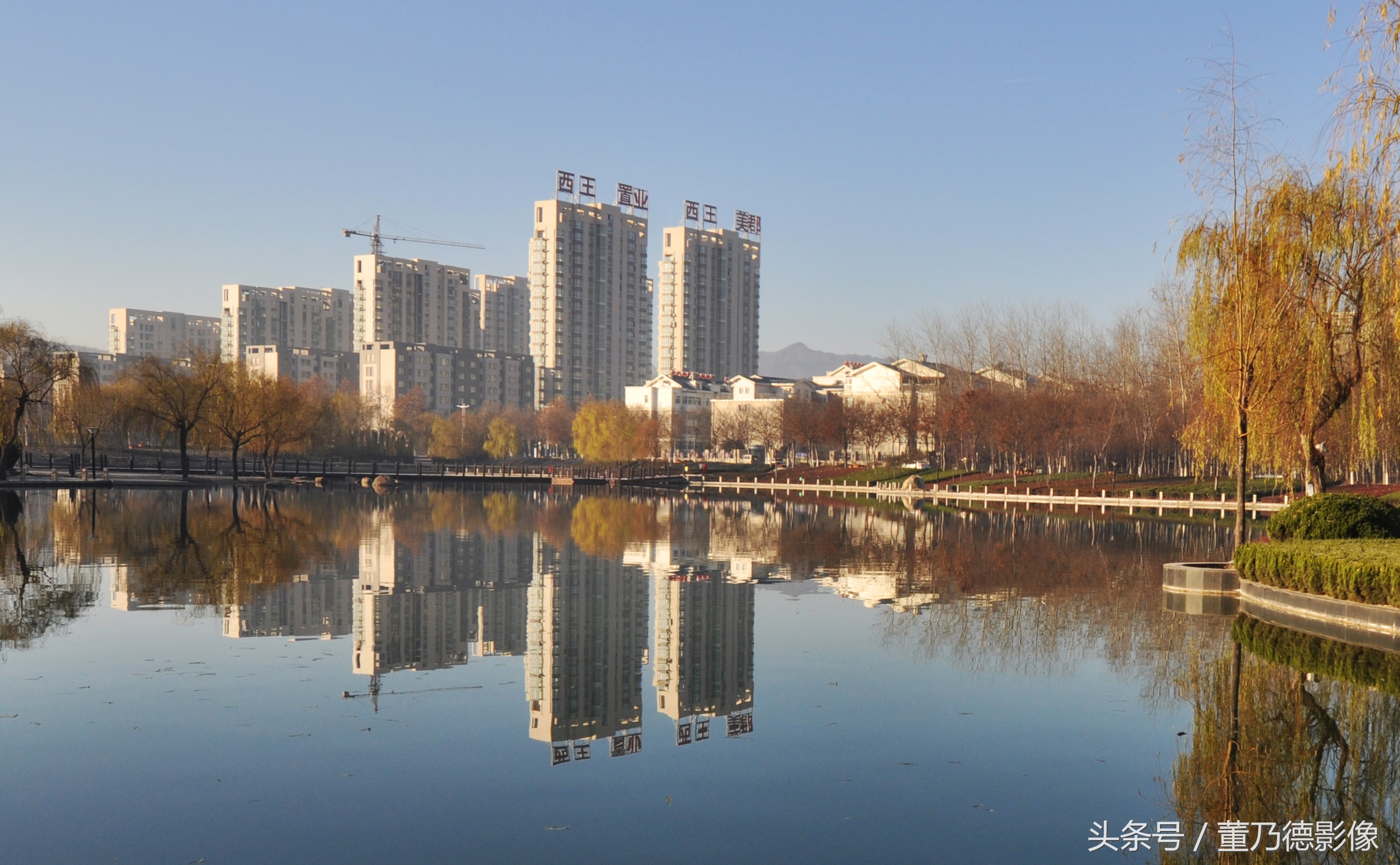 西王集团山东男篮,山东西王集团山东男篮