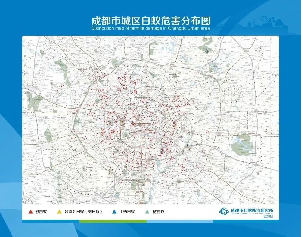 白蚁预防处理办法,白蚁防治怎么操作