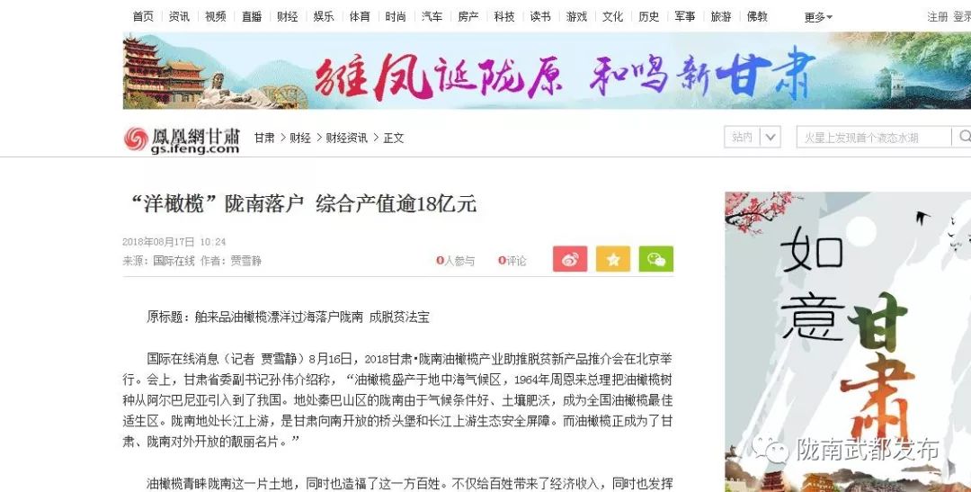 陇南武都橄榄产业发展,陇南油橄榄产业