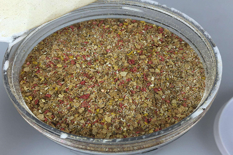 夏季钓鱼避免小鱼闹窝,钓鱼避免小鱼闹窝的4个方法