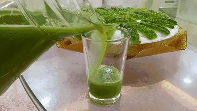 苦瓜汁和苦瓜茶有区别吗,苦瓜茶苦瓜汁苦瓜粉