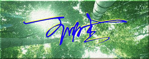 051期：目前已经制作了一千三百多个姓名大家找一下