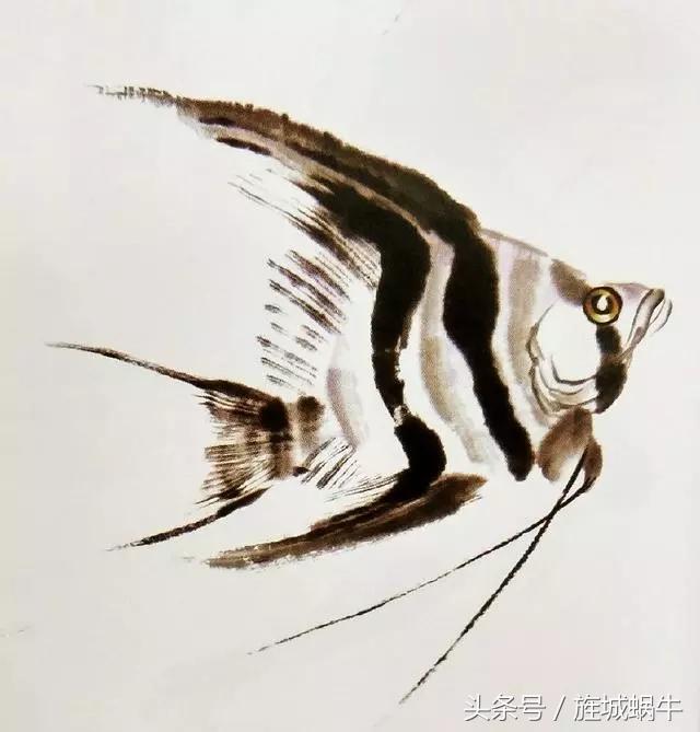 国画锦鲤鱼的画法与调色,国画写意神仙鱼100图欣赏