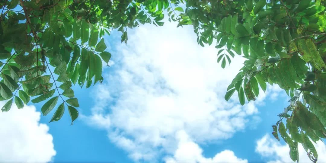 珠海高铁就能到的小县城，藏着圣托里尼的浪漫，济州岛的清新！