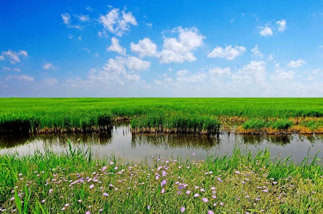 宝鸡十大湿地公园排名,宝鸡市自然生态园林公园