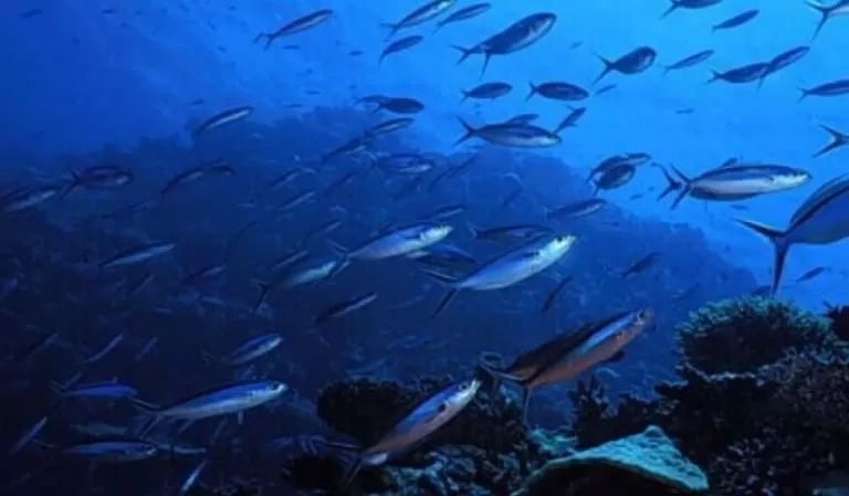 秦岚护肤日常,秦岚的护肤日常