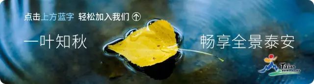 宁阳景区推荐,宁阳八大景区都有哪些