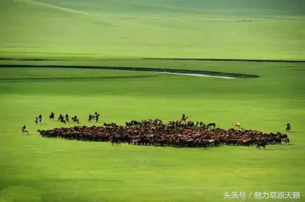 一座去了不想走的城市成都,一座去了还想去的城