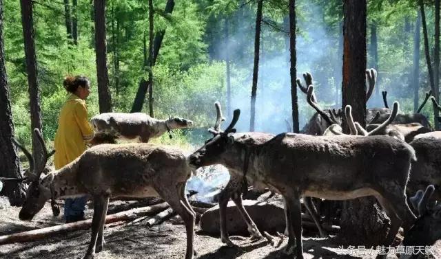 一座去了不想走的城市成都,一座去了还想去的城