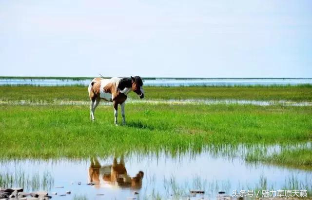 一座去了不想走的城市成都,一座去了还想去的城
