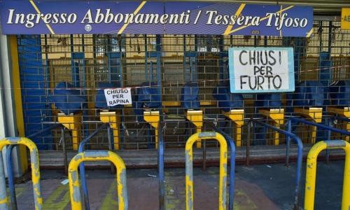 浴火重生之火凤凰,浴火重生