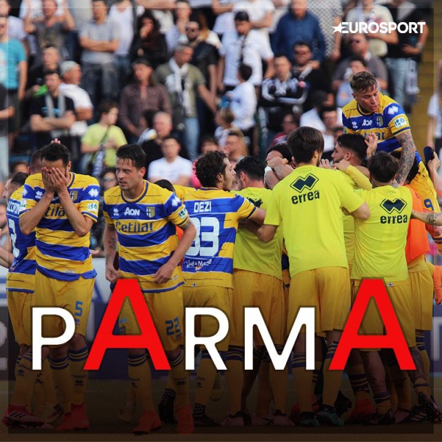 浴火重生之火凤凰,浴火重生