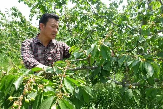 坚守20年的经营模式,坚守乡村20年