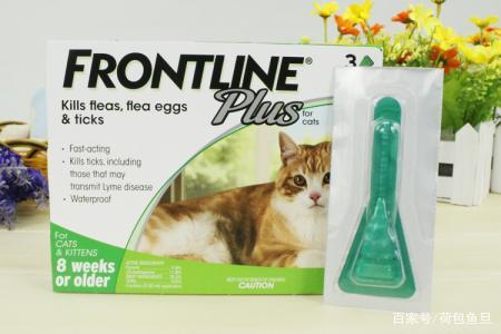 猫咪已经有虫了怎么驱虫,如何给家里有虫的猫咪驱虫