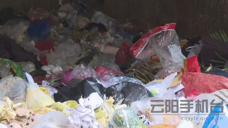 孩子入学报名信息房屋信息错了,入学房产数据不符合