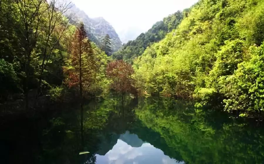 丽水遂昌市区,在丽水的遂昌