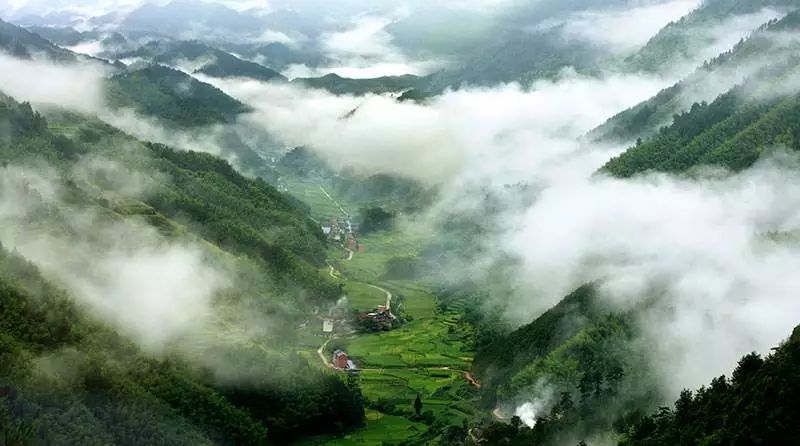 丽水遂昌市区,在丽水的遂昌