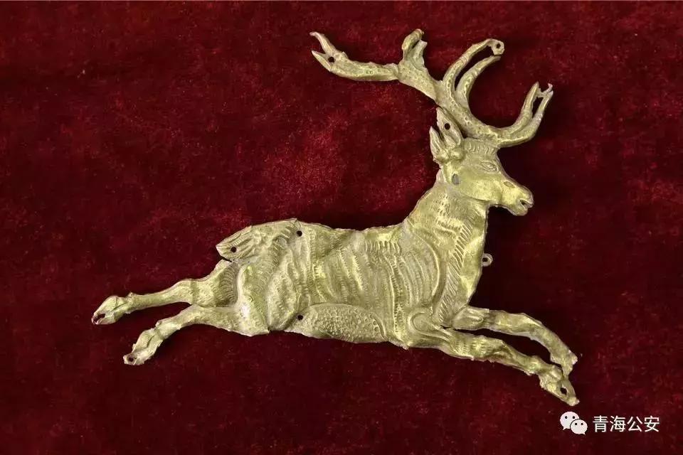 “摸金校尉”盗“九层妖楼”旁古墓落网646件*物文**被迫“重见天日”