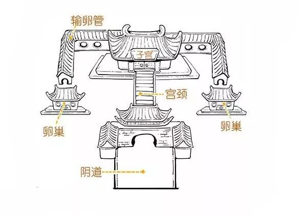 精子君追爱记|过五关斩六将,终抱得美人归