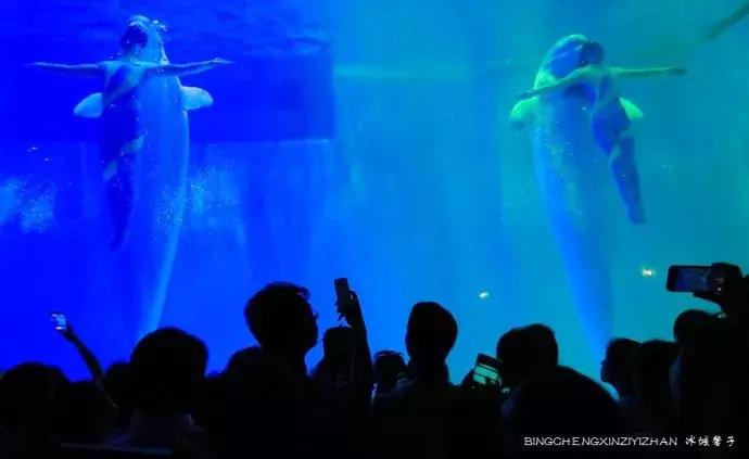 哈尔滨极地公园极地馆时间,哈尔滨极地公园和极地馆区别