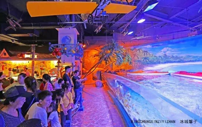 哈尔滨极地公园极地馆时间,哈尔滨极地公园和极地馆区别