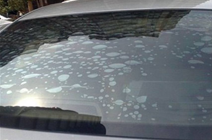 如何选择合适的膜,贴膜的时候如何挑选适合自己的膜