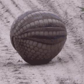 土耳其货币崩盘后的影响,土耳其货币崩盘最新消息