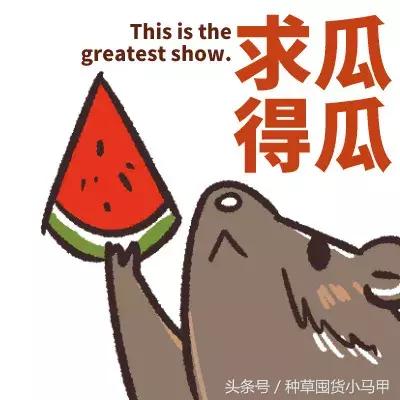 朋友圈代购怎么看价格,为什么朋友圈代购便宜