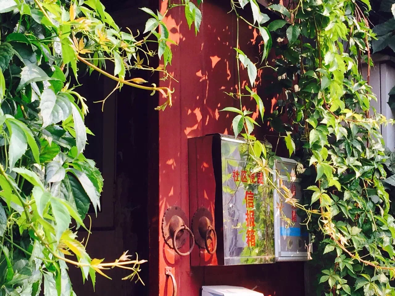 从100年前到现在,最文艺的北京胡同