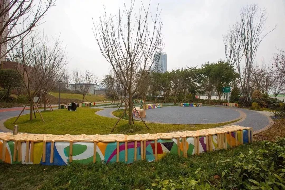 天府绿道跑步5小时,到天府绿道走一走