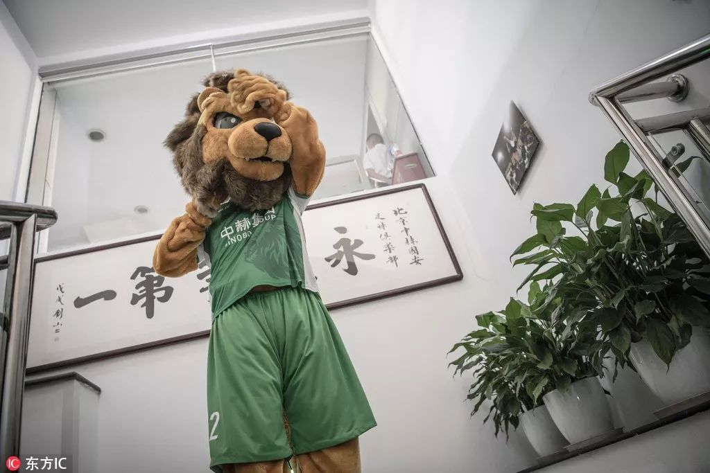 超广角大全,超广角最强镜头