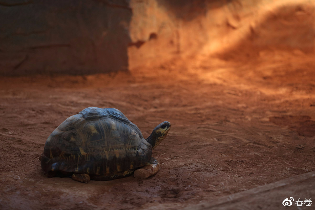 佳能人像风景原图直出参数,佳能复古风人像