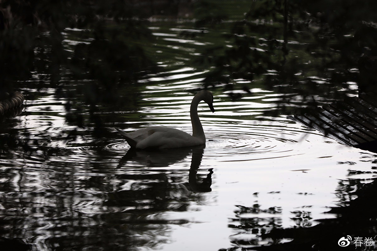 佳能人像风景原图直出参数,佳能复古风人像