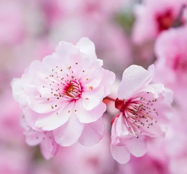 南通三农增产增收,海门三个高质量发展主题