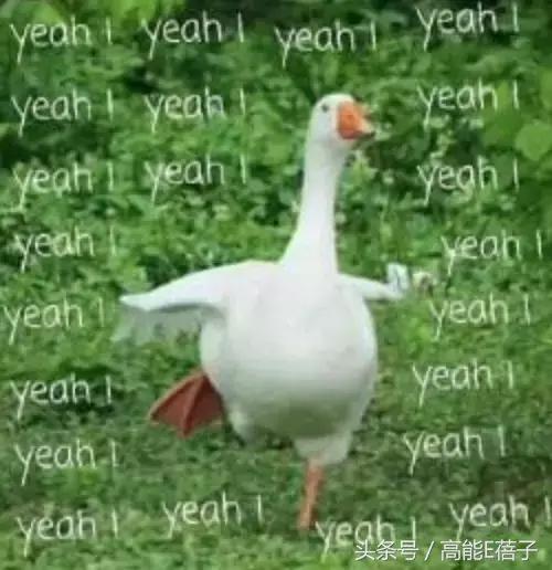 明日之子直播片段,明日之子直播现场在哪