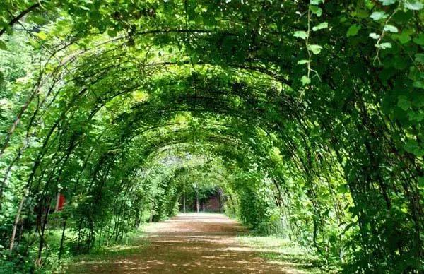 媲美川藏线的独库公路,能媲美独库公路的另一条小众公路